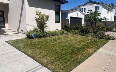 Photo of Robin H.'s yard after getting lawn care in Redwood City, CA