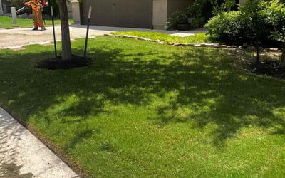 Photo of Vyonne C.'s yard after getting lawn care in Parlin, NJ