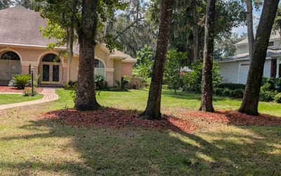 Photo of Sean I.'s yard after getting lawn care in Grayson, GA