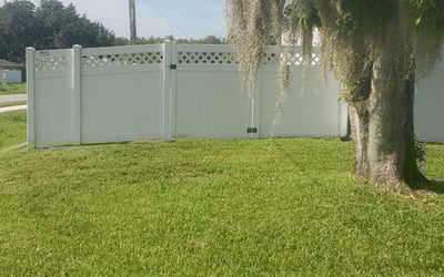 Photo of Tomi L.'s yard after getting lawn care in Peabody, MA