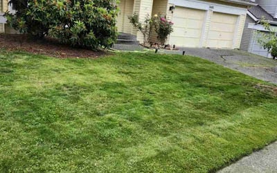 Photo of Anne S.'s yard after getting lawn care in Sammamish, WA