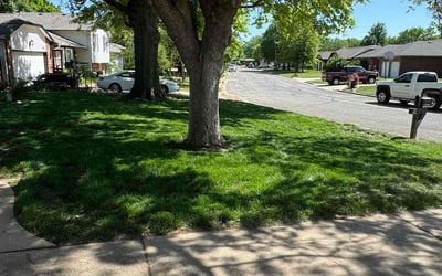 Photo of Scott K.'s yard after getting lawn care in Tooele, UT