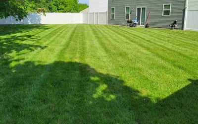 Photo of Kevin S.'s yard after getting lawn care in Berlin, MD