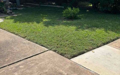 Photo of Stacie S.'s yard after getting lawn care in Oak Park, IL