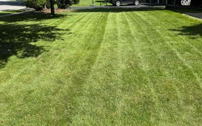 Photo of Peter H.'s yard after getting lawn care in East Aurora, NY