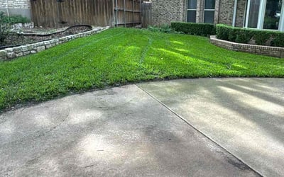 Photo of Pat S.'s yard after getting lawn care in Fort Worth, TX