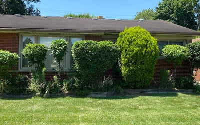 Photo of Alex B.'s yard after getting lawn care in San Marcos, TX