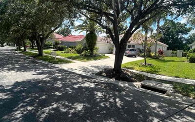 Photo of Javier R.'s yard after getting lawn care in Lake Worth, FL
