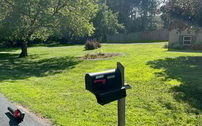 Photo of Sadie C.'s yard after getting lawn care in Ramsey, MN
