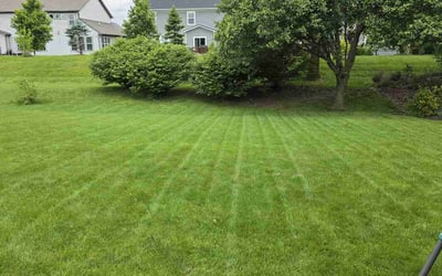 Photo of Melanie H.'s yard after getting lawn care in Flushing, NY