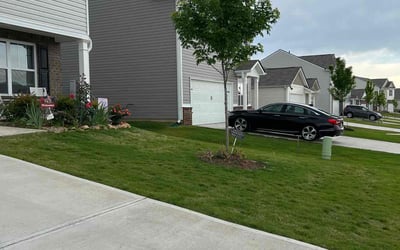 Photo of Stephany G.'s yard after getting lawn care in Moore, SC