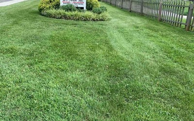 Photo of Terrance J.'s yard after getting lawn care in Miami, FL