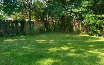 Photo of Adriane J.'s yard after getting lawn care in Ocean Springs, MS