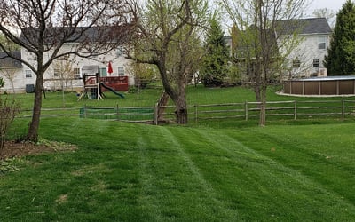 Photo of Adrienne P.'s yard after getting lawn care in New Richmond, OH