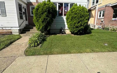 Photo of Barbara S.'s yard after getting lawn care in Upper Darby, PA