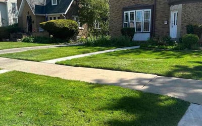Photo of Sabrina B.'s yard after getting lawn care in Maywood, IL