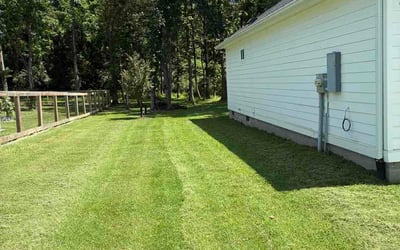 Photo of Mireille D.'s yard after getting lawn care in Haymarket, VA
