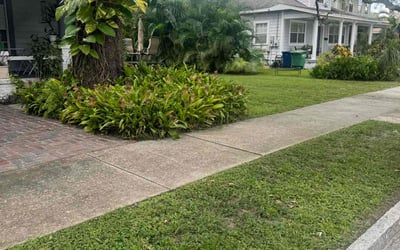 Photo of Joyce Y.'s yard after getting lawn care in Saint Augustine, FL