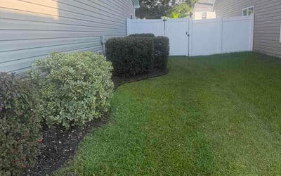 Photo of Lee H.'s yard after getting lawn care in Waukee, IA