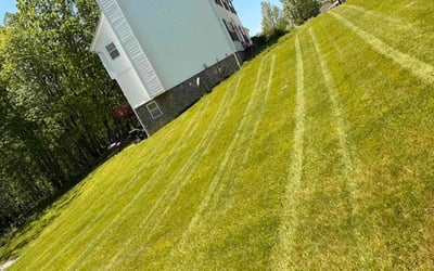 Photo of Jason P.'s yard after getting lawn care in Excelsior Springs, MO