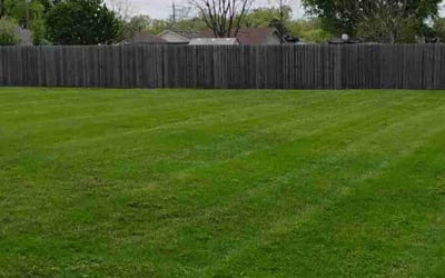 Photo of Jeff W.'s yard after getting lawn care in Des Moines, IA