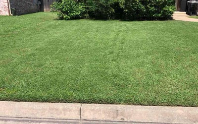 Photo of Gage C.'s yard after getting lawn care in Charleston, SC