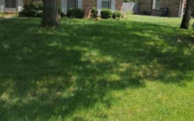 Photo of Amy D.'s yard after getting lawn care in Anderson, IN