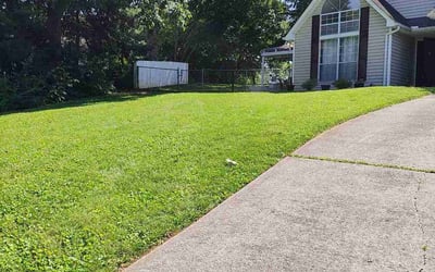 Photo of Denise N.'s yard after getting lawn care in Clinton, TN