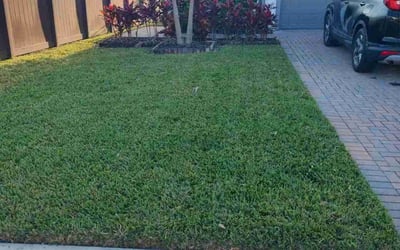 Photo of Jin K.'s yard after getting lawn care in Buford, GA