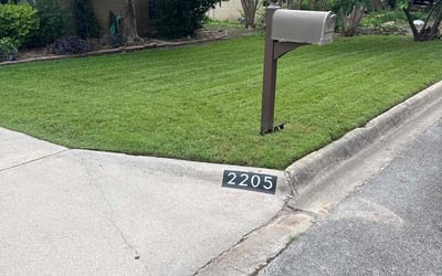 Photo of Bruce N.'s yard after getting lawn care in Lithia, FL