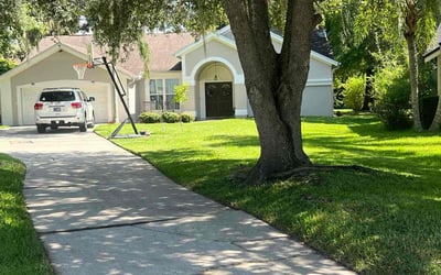 Photo of Mary R.'s yard after getting lawn care in Ocala, FL