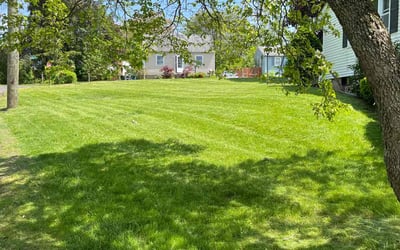 Photo of Melissa A.'s yard after getting lawn care in Meriden, CT