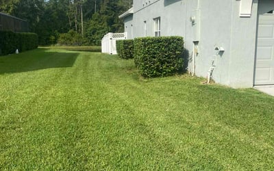 Photo of Elizabeth C.'s yard after getting lawn care in Lake Worth, FL