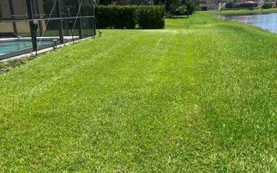 Photo of Karen M.'s yard after getting lawn care in Phenix City, AL