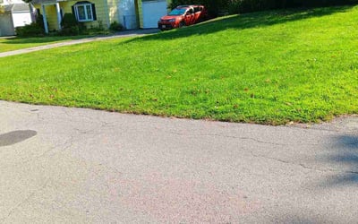 Photo of "Armenda D.'s yard after getting lawn care in Penfield, NY