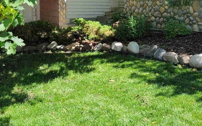 Photo of Misty K.'s yard after getting lawn care in Rincon, GA