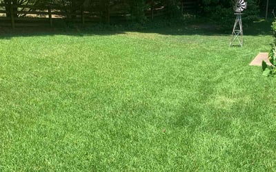 Photo of Trevor G.'s yard after getting lawn care in Rock Island, IL