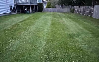 Photo of Anne H.'s yard after getting lawn care in Middletown, RI