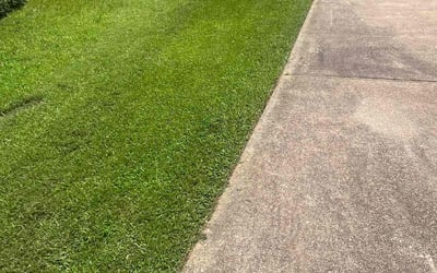 Photo of Melissa S.'s yard after getting lawn care in Canton, GA