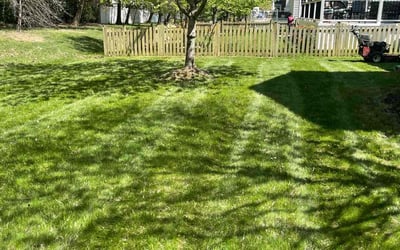 Photo of Watrell M.'s yard after getting lawn care in Ashburn, VA