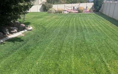 Photo of Kerk P.'s yard after getting lawn care in Herriman, UT