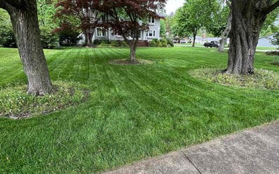 Photo of Karen H.'s yard after getting lawn care in North Olmsted, OH