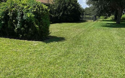 Photo of Egberto C.'s yard after getting lawn care in Oakleaf Plantation, FL