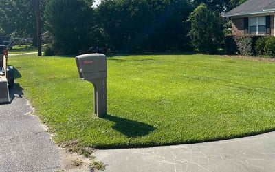 Photo of Ross M.'s yard after getting lawn care in Hilton Head Island, SC