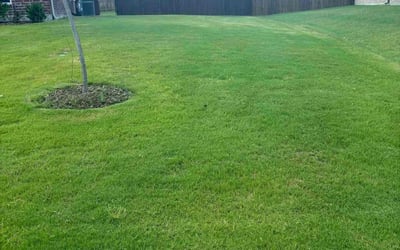 Photo of Eric L.'s yard after getting lawn care in Cedar Hill, TX