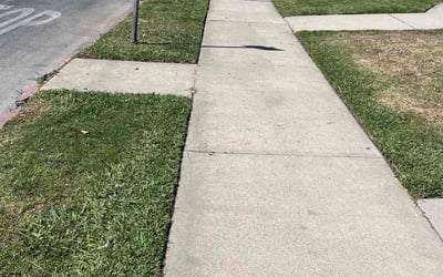 Photo of Danielle T.'s yard after getting lawn care in Panorama City, CA