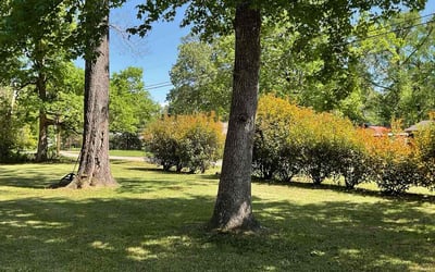 Photo of norvell C.'s yard after getting lawn care in Cleveland, TX