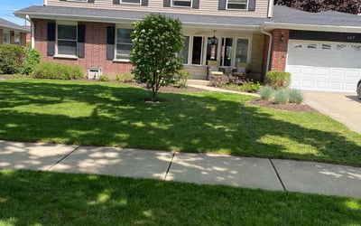 Photo of Diane C.'s yard after getting lawn care in Mount Prospect, IL