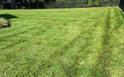 Photo of Lenora S.'s yard after getting lawn care in Suffolk, VA