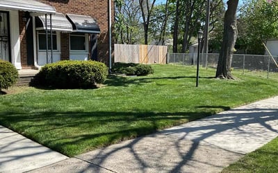 Photo of Tammy T.'s yard after getting lawn care in Hermitage, TN